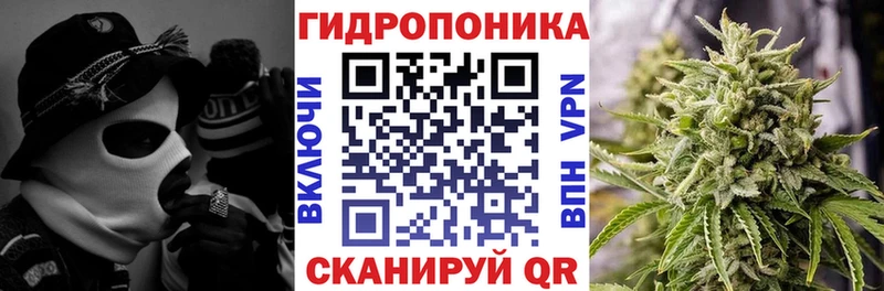 наркота  Миасс  Бошки марихуана план 